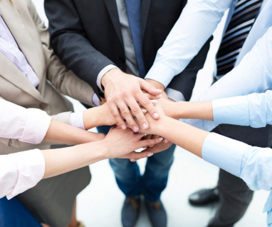 Команда профессионалов